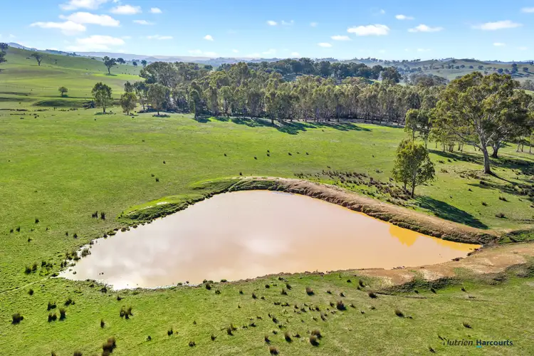 Fourth view of Homely rural property listing, 148 Old Yarck Road, Yarck VIC 3719