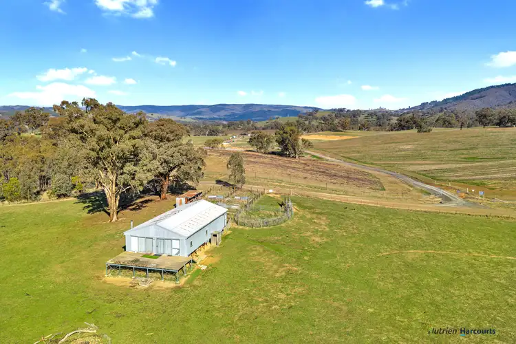 Seventh view of Homely rural property listing, 148 Old Yarck Road, Yarck VIC 3719