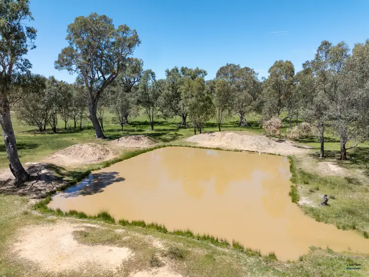 Sixth view of Homely rural property listing, 12 Knight Road, Benalla VIC 3672