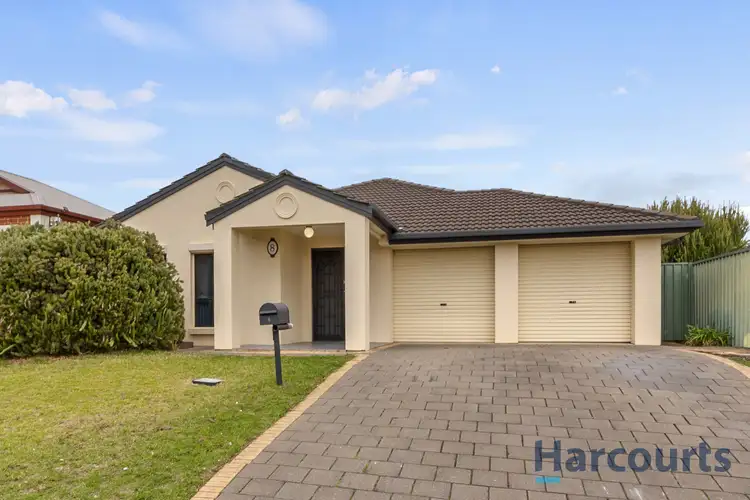 8 Martindale Place