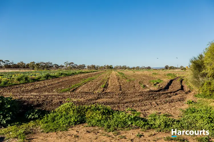 Fourth view of Homely house listing, 505 Old Port Wakefield Road, Two Wells SA 5501