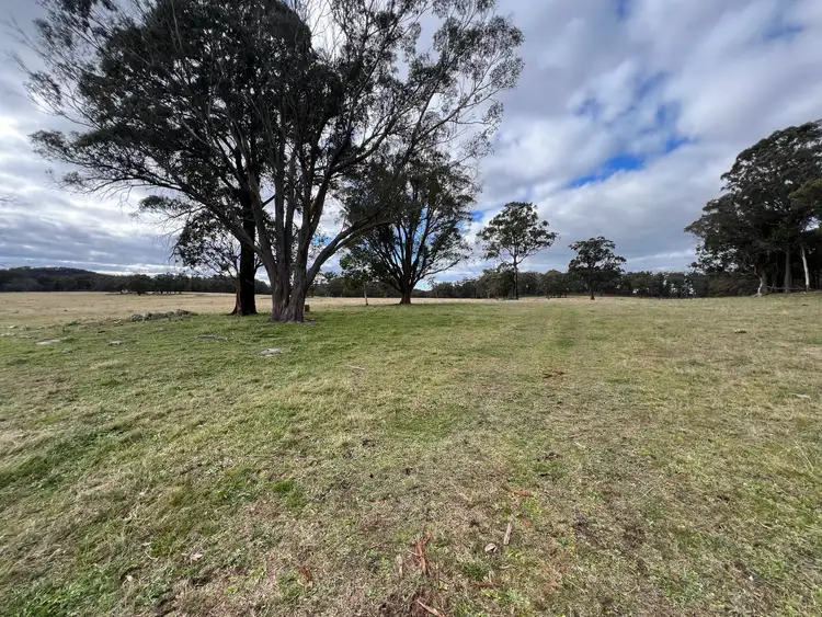 Sixth view of Homely rural property listing, # Coopers Road, Red Range NSW 2370