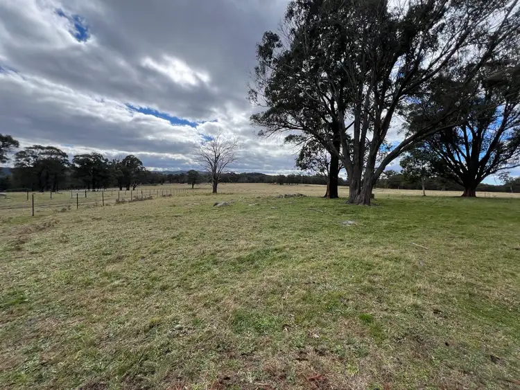 Seventh view of Homely rural property listing, # Coopers Road, Red Range NSW 2370