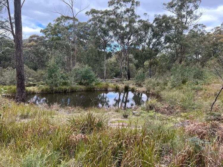 Second view of Homely rural property listing, * Coopers Road, Red Range NSW 2370