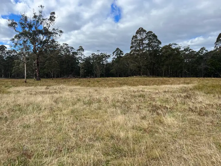 Fourth view of Homely rural property listing, * Coopers Road, Red Range NSW 2370