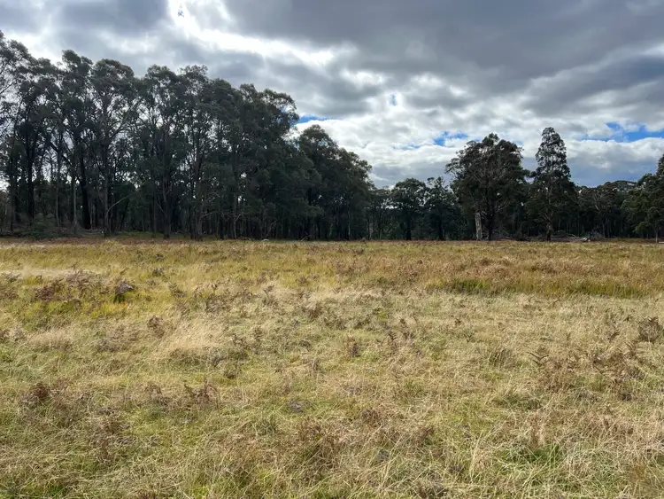 Seventh view of Homely rural property listing, * Coopers Road, Red Range NSW 2370