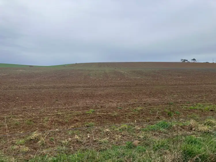 Second view of Homely rural property listing, 67 Myrtle Grove Road, Wiltshire TAS 7321