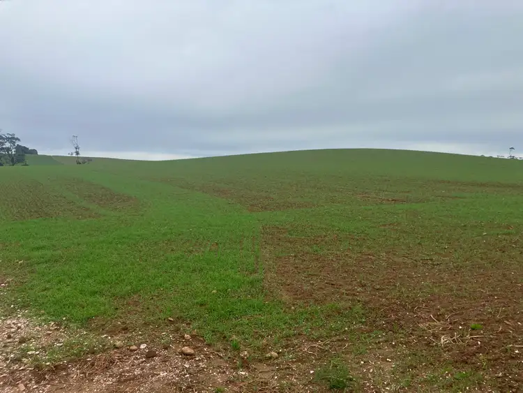 Fourth view of Homely rural property listing, 67 Myrtle Grove Road, Wiltshire TAS 7321