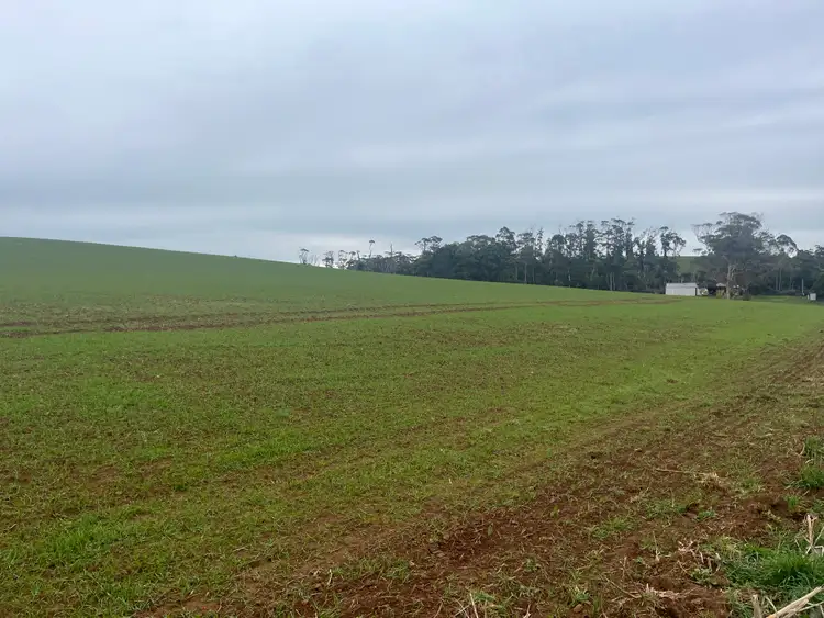 Sixth view of Homely rural property listing, 67 Myrtle Grove Road, Wiltshire TAS 7321