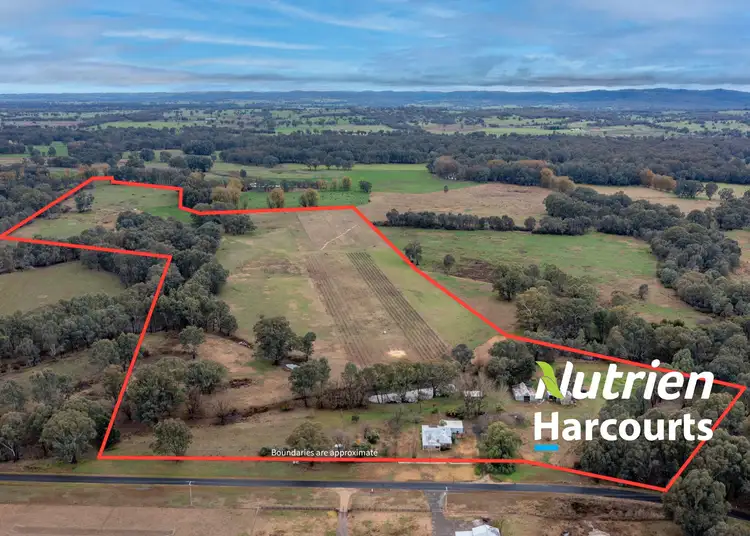 Main view of Homely rural property listing, 148 Markwood-Tarrawingee Road, Markwood VIC 3678
