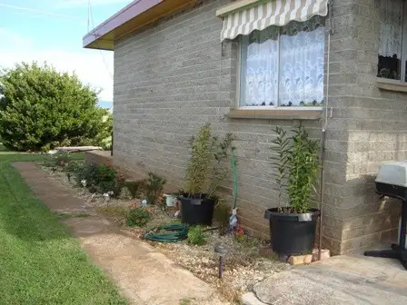 Third view of Homely house listing, 33090 Tasman Highway, Legerwood TAS 7263