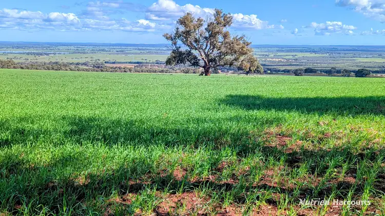 Second view of Homely rural property listing, 5428 Brand Highway, Boonanarring, Gingin WA 6503