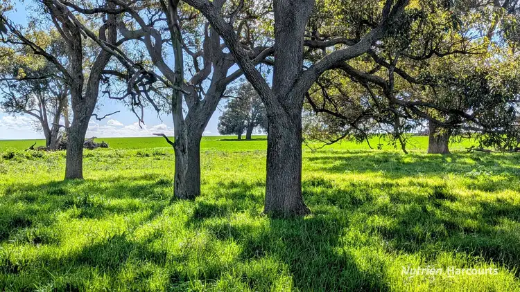 Third view of Homely rural property listing, 5428 Brand Highway, Boonanarring, Gingin WA 6503