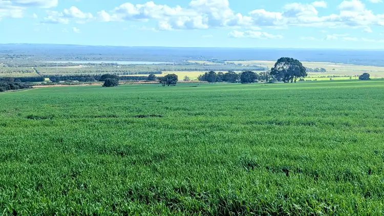 Sixth view of Homely rural property listing, 5428 Brand Highway, Boonanarring, Gingin WA 6503