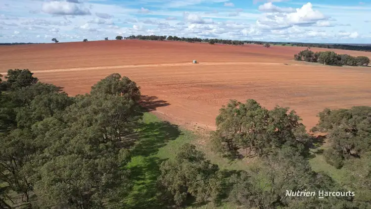 Seventh view of Homely rural property listing, 5428 Brand Highway, Boonanarring, Gingin WA 6503
