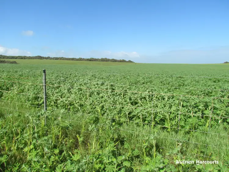 Third view of Homely rural property listing, 40 Matsen Road, Dongara WA 6525
