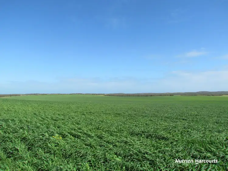 Fourth view of Homely rural property listing, 40 Matsen Road, Dongara WA 6525