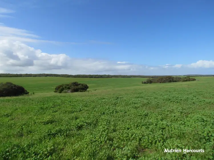 Fifth view of Homely rural property listing, 40 Matsen Road, Dongara WA 6525