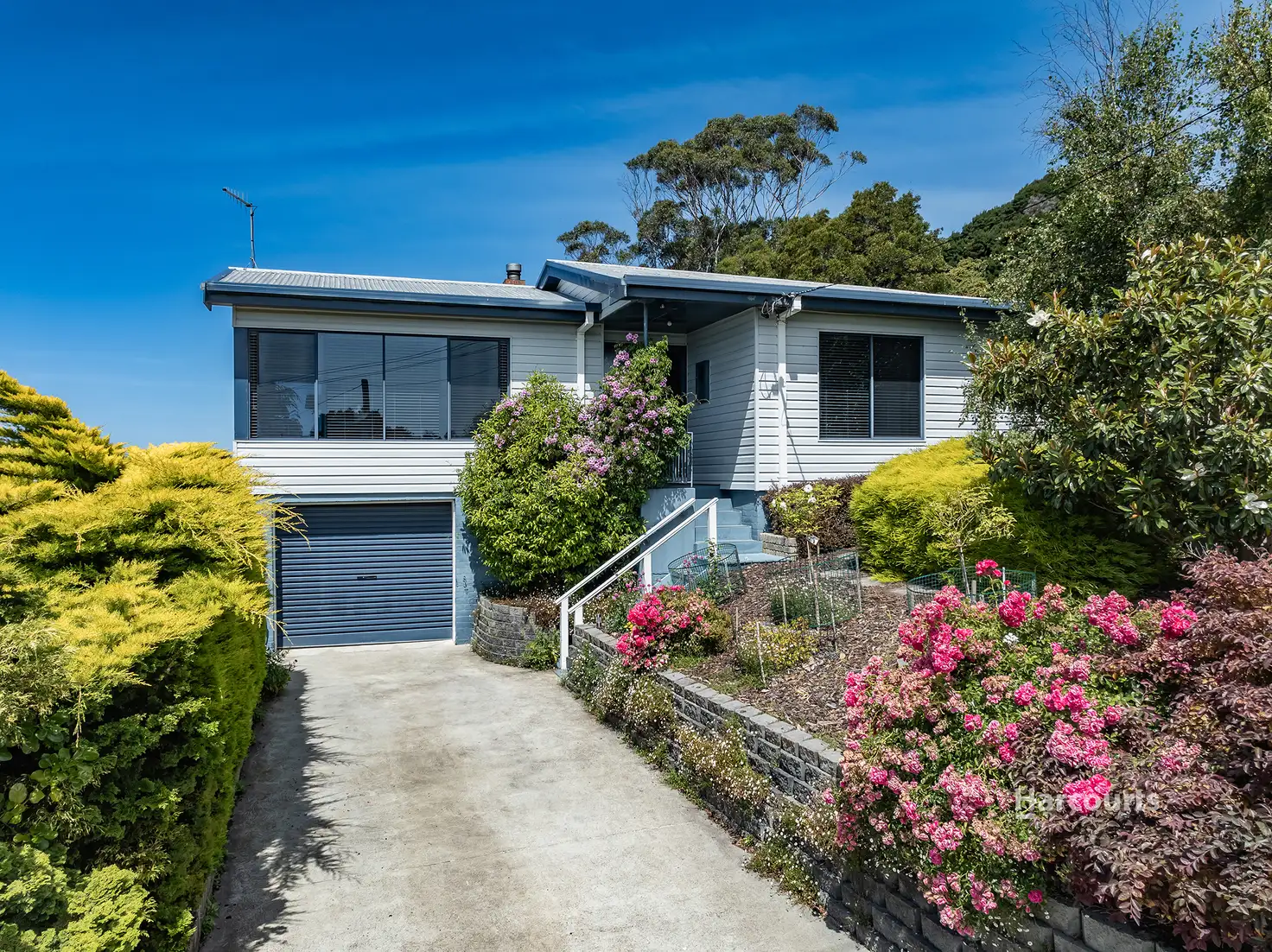 Main view of Homely house listing, 11 Seaside Crescent, Penguin TAS 7316