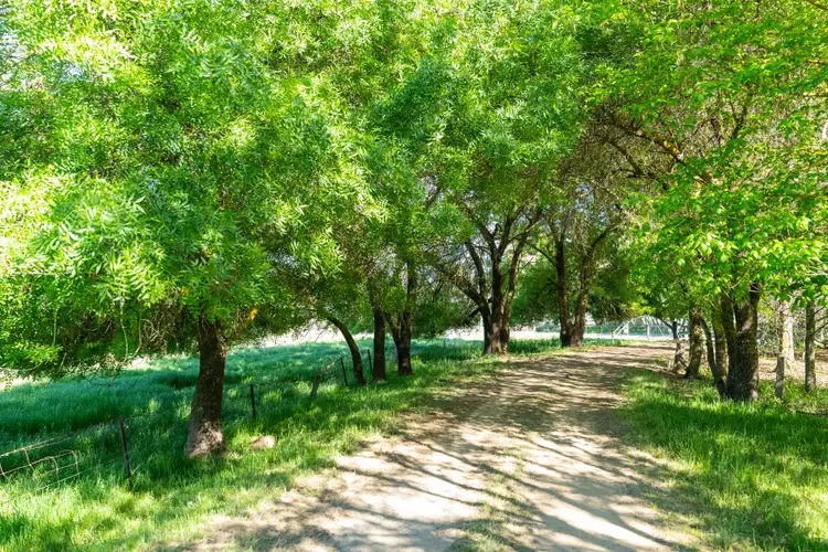 Second view of Homely rural property listing, 422 Kiewa East Rd, Tangambalanga VIC 3691