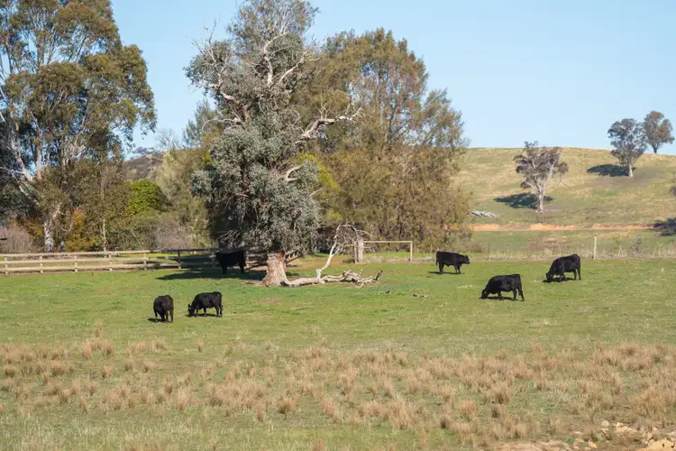 Fifth view of Homely rural property listing, 422 Kiewa East Rd, Tangambalanga VIC 3691