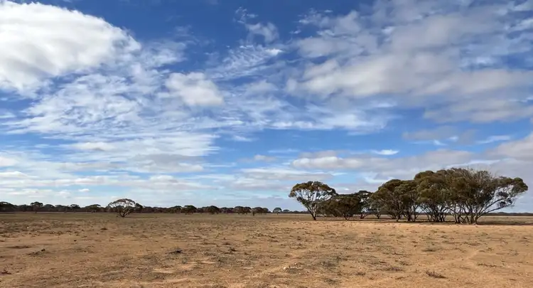 Main view of Homely rural property listing, Lot 32 Schwerdt Road, Bower SA 5374