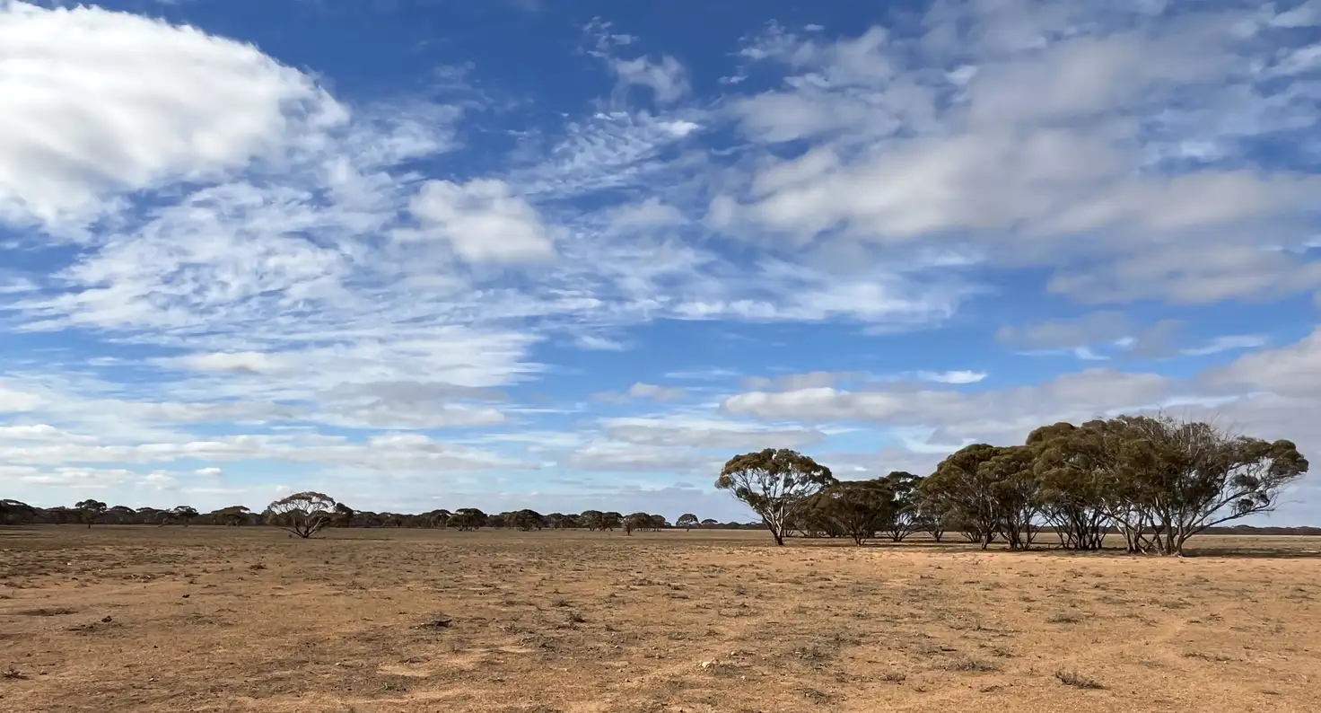 Main view of Homely rural property listing, Lot 32 Schwerdt Road, Bower SA 5374
