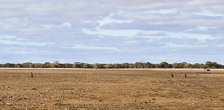 Fourth view of Homely rural property listing, Lot 32 Schwerdt Road, Bower SA 5374
