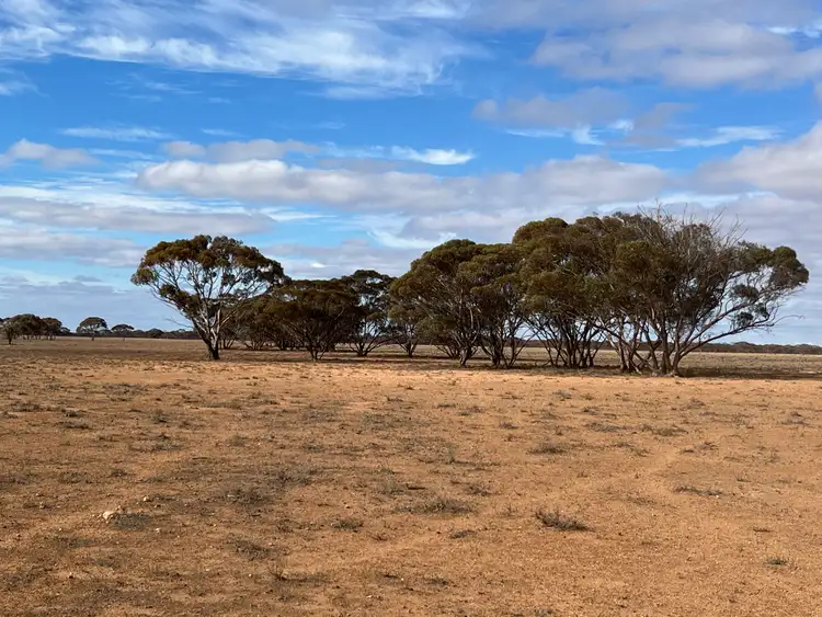 Fifth view of Homely rural property listing, Lot 32 Schwerdt Road, Bower SA 5374