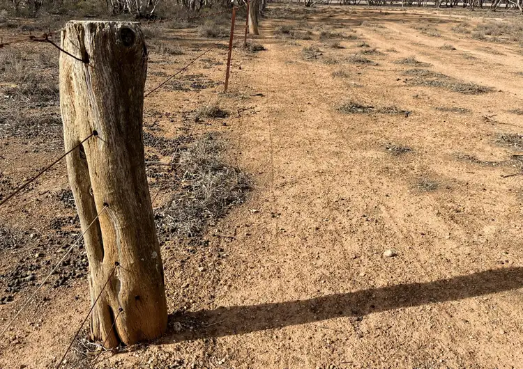 Seventh view of Homely rural property listing, Lot 32 Schwerdt Road, Bower SA 5374