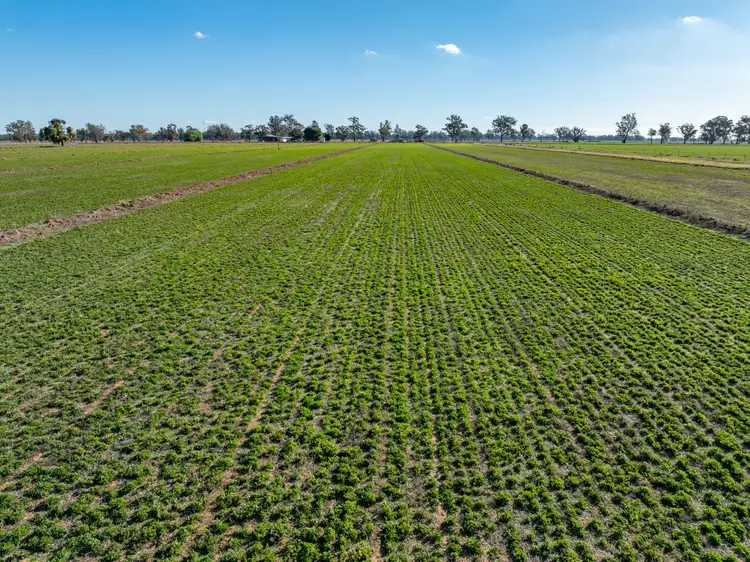 Second view of Homely rural property listing, 81 Dowra Lane, Forbes NSW 2871