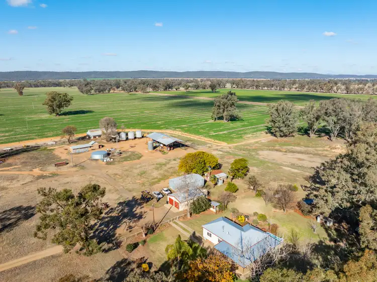 Third view of Homely rural property listing, 81 Dowra Lane, Forbes NSW 2871