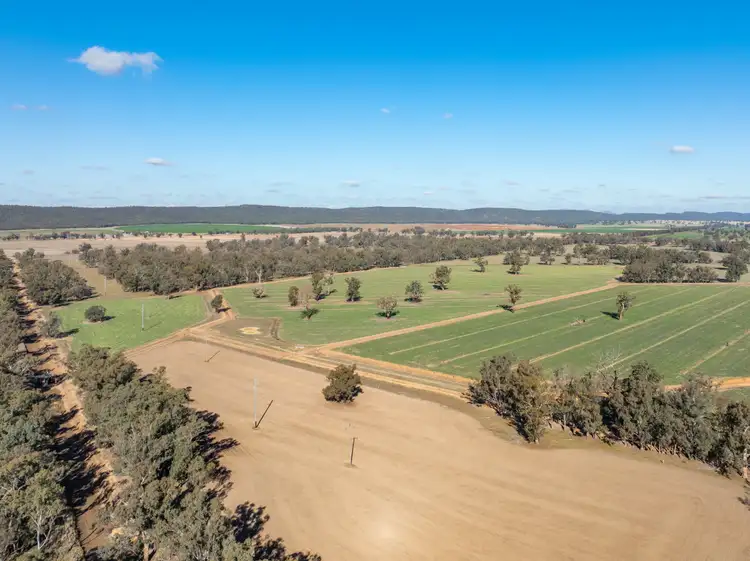 Fourth view of Homely rural property listing, 81 Dowra Lane, Forbes NSW 2871