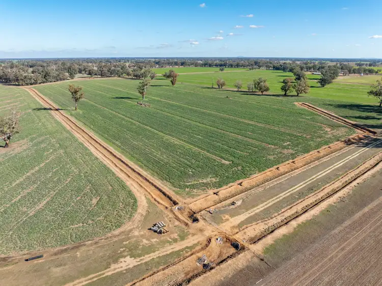 Fifth view of Homely rural property listing, 81 Dowra Lane, Forbes NSW 2871