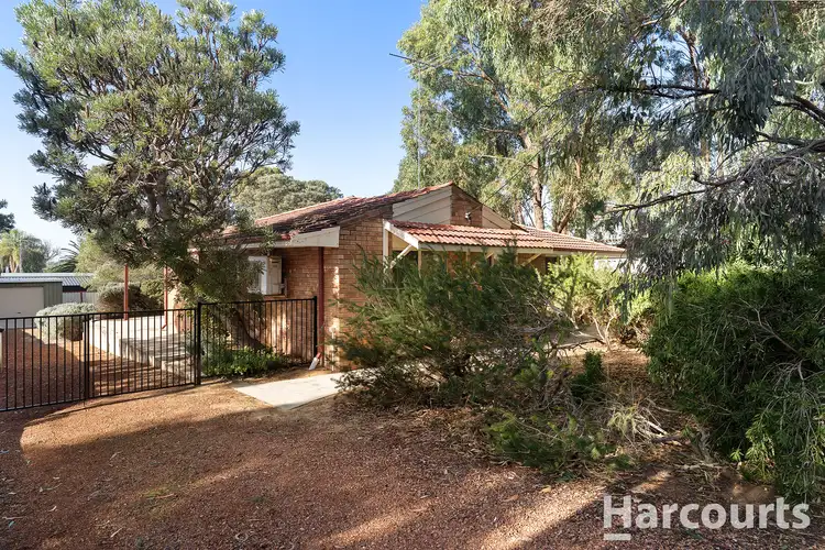 Main view of Homely house listing, 23 Eldora Crescent, Falcon WA 6210