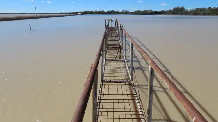Third view of Homely rural property listing, Riverside-Ridgeview Talwood Mungindi Road, Mungindi QLD 2406