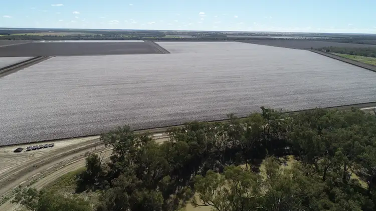 Seventh view of Homely rural property listing, Riverside-Ridgeview Talwood Mungindi Road, Mungindi QLD 2406