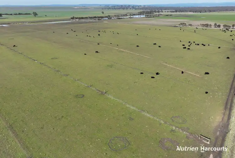 Seventh view of Homely rural property listing, Part 371 Cairnbrook Road, Winnindoo VIC 3858