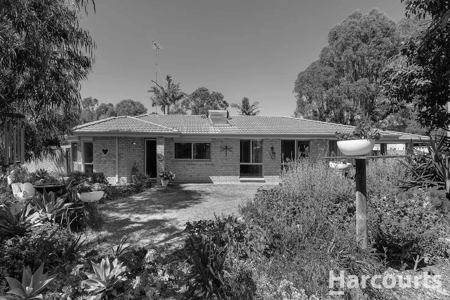 Main view of Homely house listing, 33A Carthage Road, Falcon WA 6210