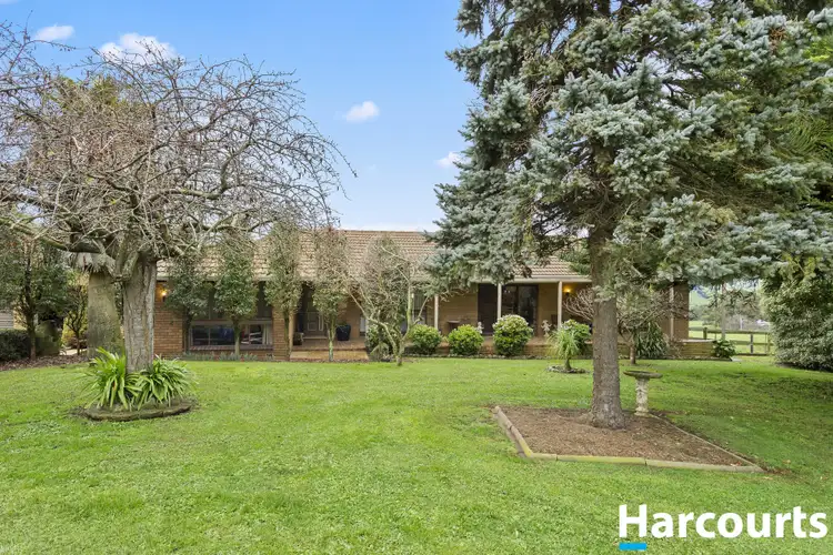 Main view of Homely rural property listing, 330 Mount Vernon Road, Berrys Creek VIC 3953