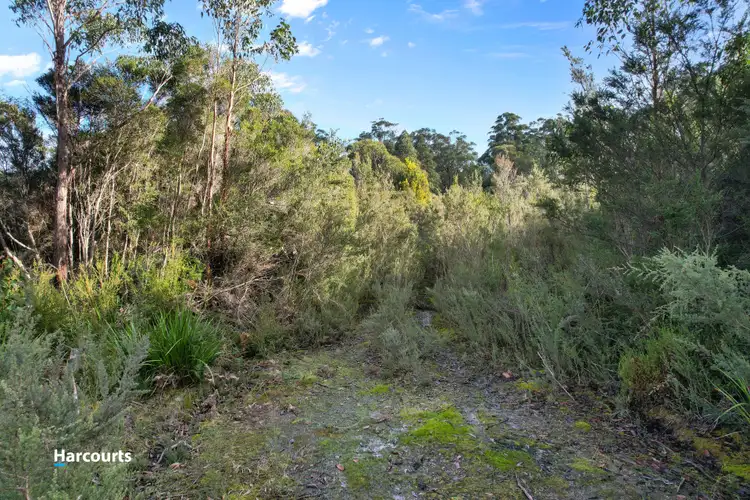 Sixth view of Homely land listing, 110 Tongue Road, Hastings TAS 7109
