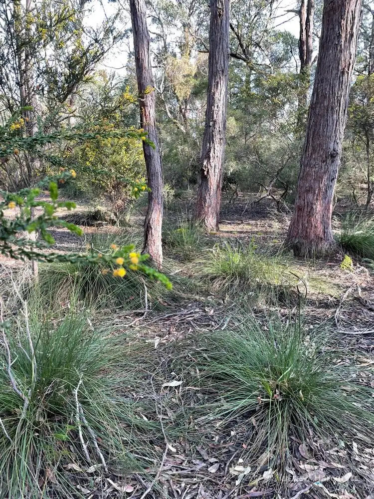 Third view of Homely rural property listing, . South Gippsland Highway, Woodside VIC 3874