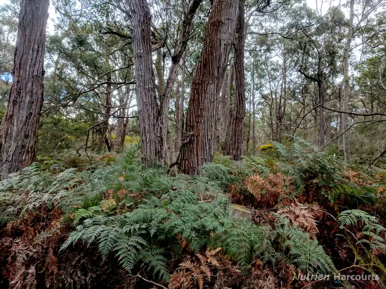 Fifth view of Homely rural property listing, . South Gippsland Highway, Woodside VIC 3874