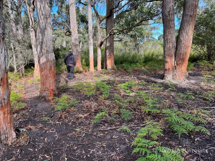 Seventh view of Homely rural property listing, . South Gippsland Highway, Woodside VIC 3874