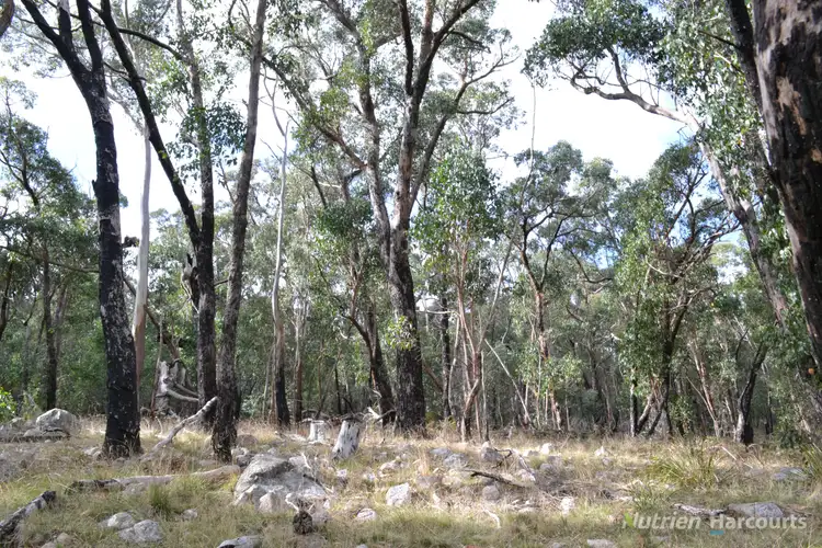 Main view of Homely rural property listing, . Youngs Road, Baynton VIC 3444