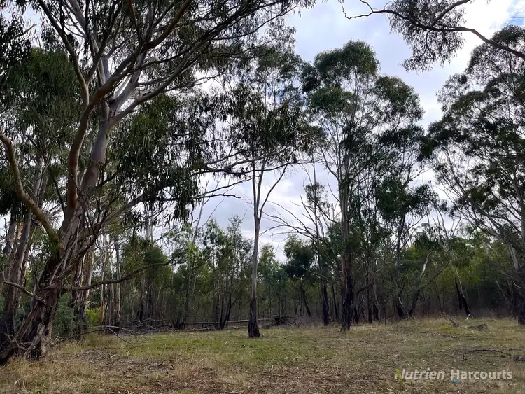 Second view of Homely rural property listing, . Youngs Road, Baynton VIC 3444