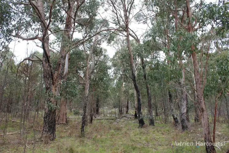 Fifth view of Homely rural property listing, . Youngs Road, Baynton VIC 3444