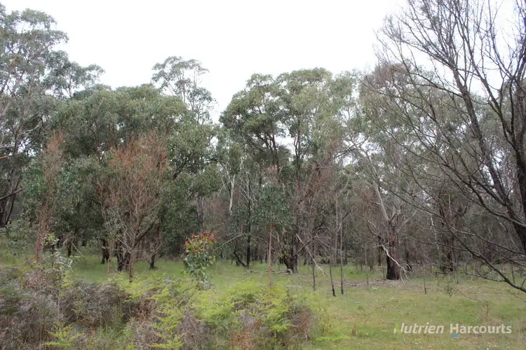 Sixth view of Homely rural property listing, . Youngs Road, Baynton VIC 3444