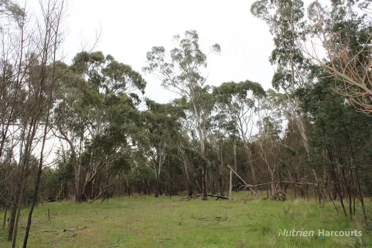 Seventh view of Homely rural property listing, . Youngs Road, Baynton VIC 3444