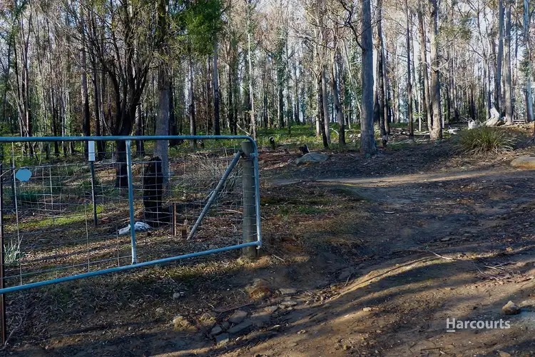 Fifth view of Homely land listing, Buckland Road, Levendale TAS 7120